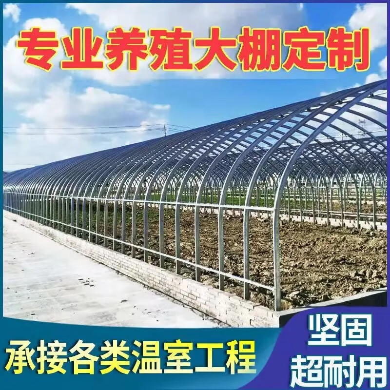 现代化农业钢架大棚 热镀锌钢管结构的优势与定制方案