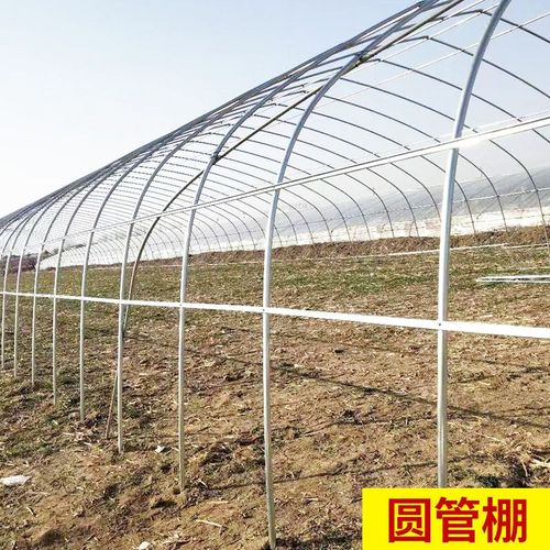 钢架大棚 蔬菜种植与牛羊养殖的现代化骨架之王